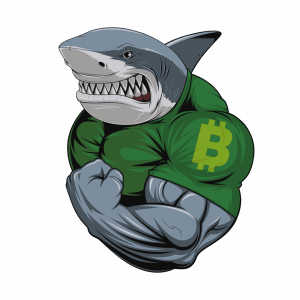 Curso de trading con criptomonedas