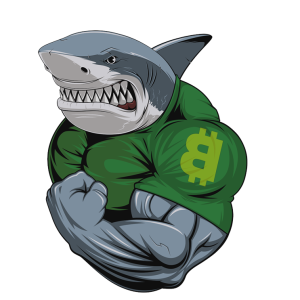 Programa de Trading CryptoSharks